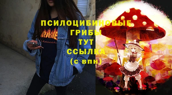 скорость Алексин