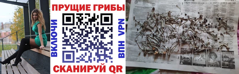 Галлюциногенные грибы GOLDEN TEACHER  Коркино 
