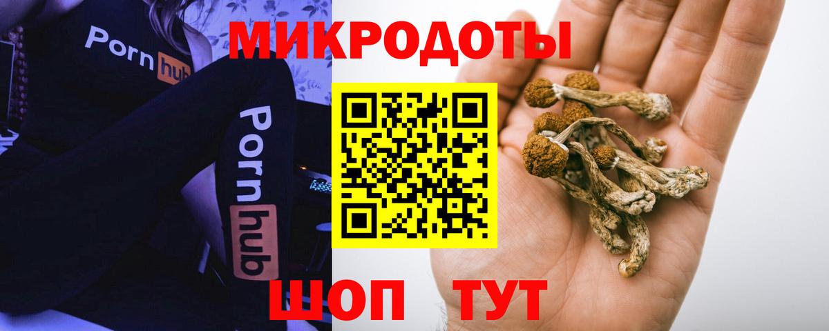 Псилоцибиновые грибы Psilocybe  Псилоцибиновые грибы MAGIC MUSHROOMS  Вход с VPN  как найти   Коркино 